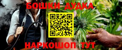 гашик Лесосибирск