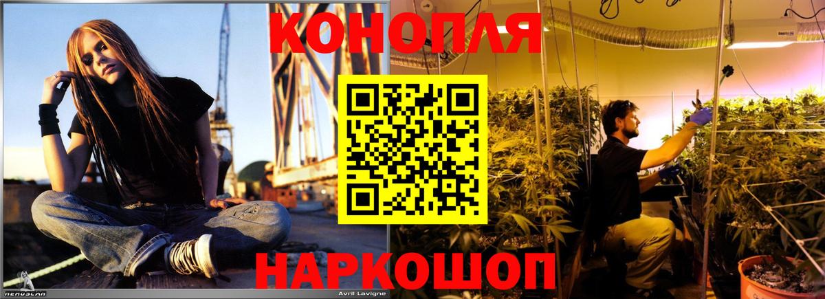 Бошки марихуана планчик  Вход с VPN  Канабис Bruce Banner  Марихуана индика  Щёлково 